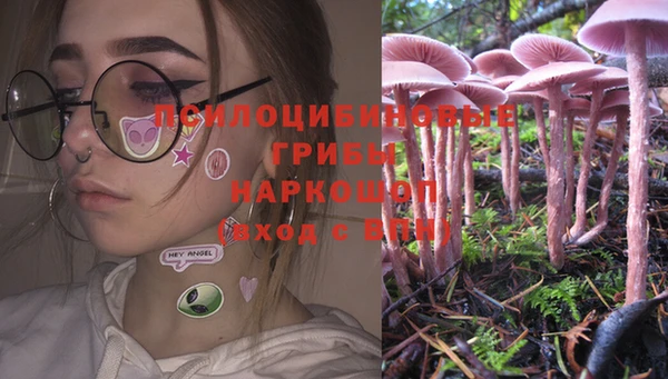 каннабис Алексеевка