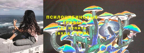 дмт Алексин