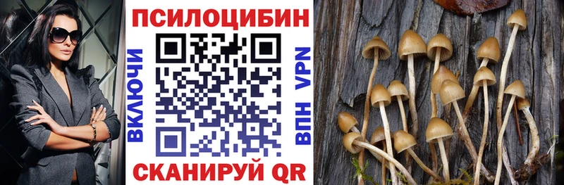 площадка клад Саянск Галлюциногенные грибы MAGIC MUSHROOMS как найти закладки