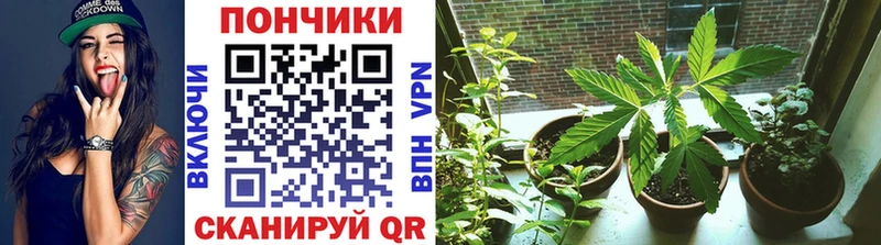 Бошки марихуана Bruce Banner  закладка  Саянск 